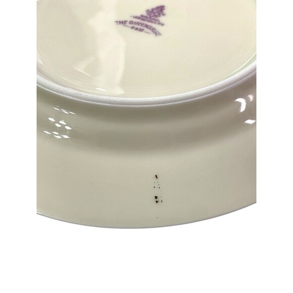 P.T. Bavaria Tirschenreuth Queen's Rose Bread & Butter Plate Floral Set Of 6 - Picture 4 of 11